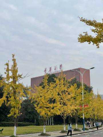 重庆大学客户端重庆电视台客户端