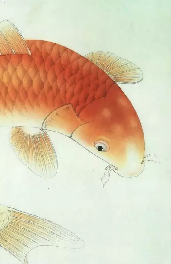 游鲤苹果版游戏盒苹果版