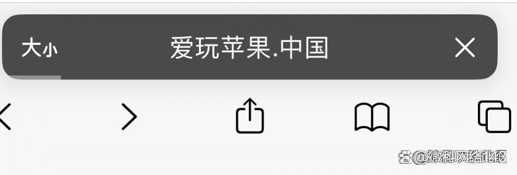 苹果分身版购买永久免费应用多开分身-第1张图片-太平洋在线下载