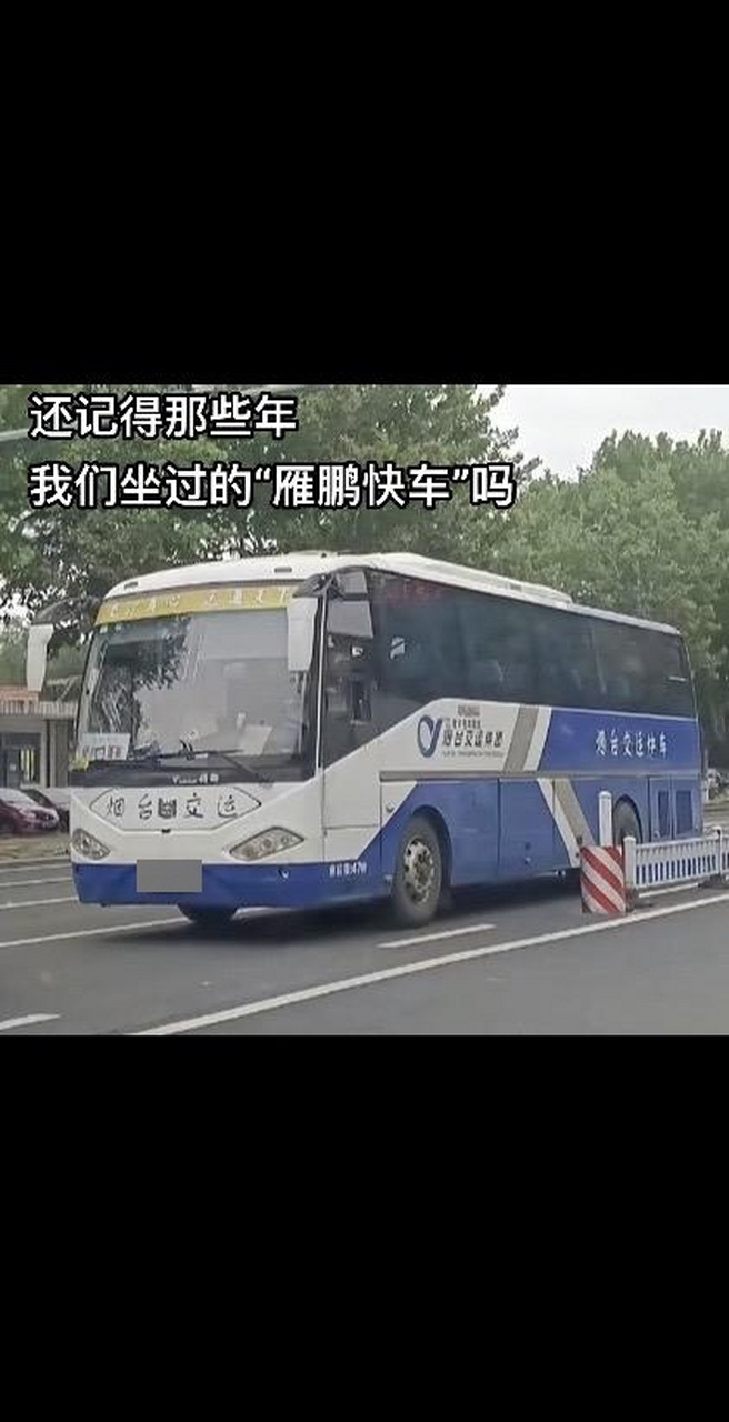 烟台交运手机客户端烟台交运集团有限公司-第2张图片-太平洋在线下载