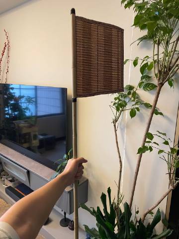 杉果客户端更新杉果游戏官网网址-第2张图片-太平洋在线下载