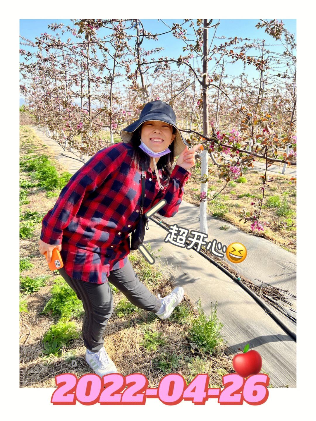 苹果花歌曲日语版sakura歌曲日语原唱歌词-第2张图片-太平洋在线下载