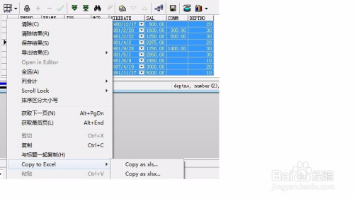 plsql客户端免费下载plsql客户端修改字符编码
