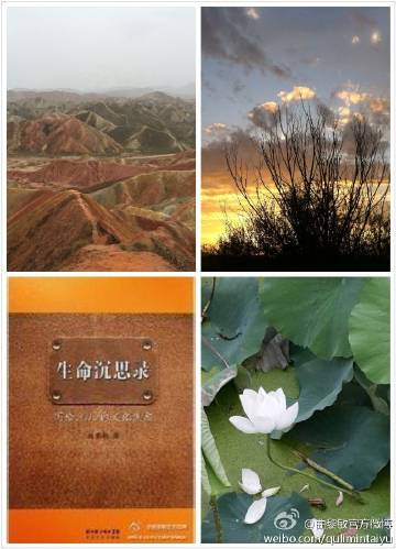 春雨客户端苏在野珠落春衫春雨共丝丝