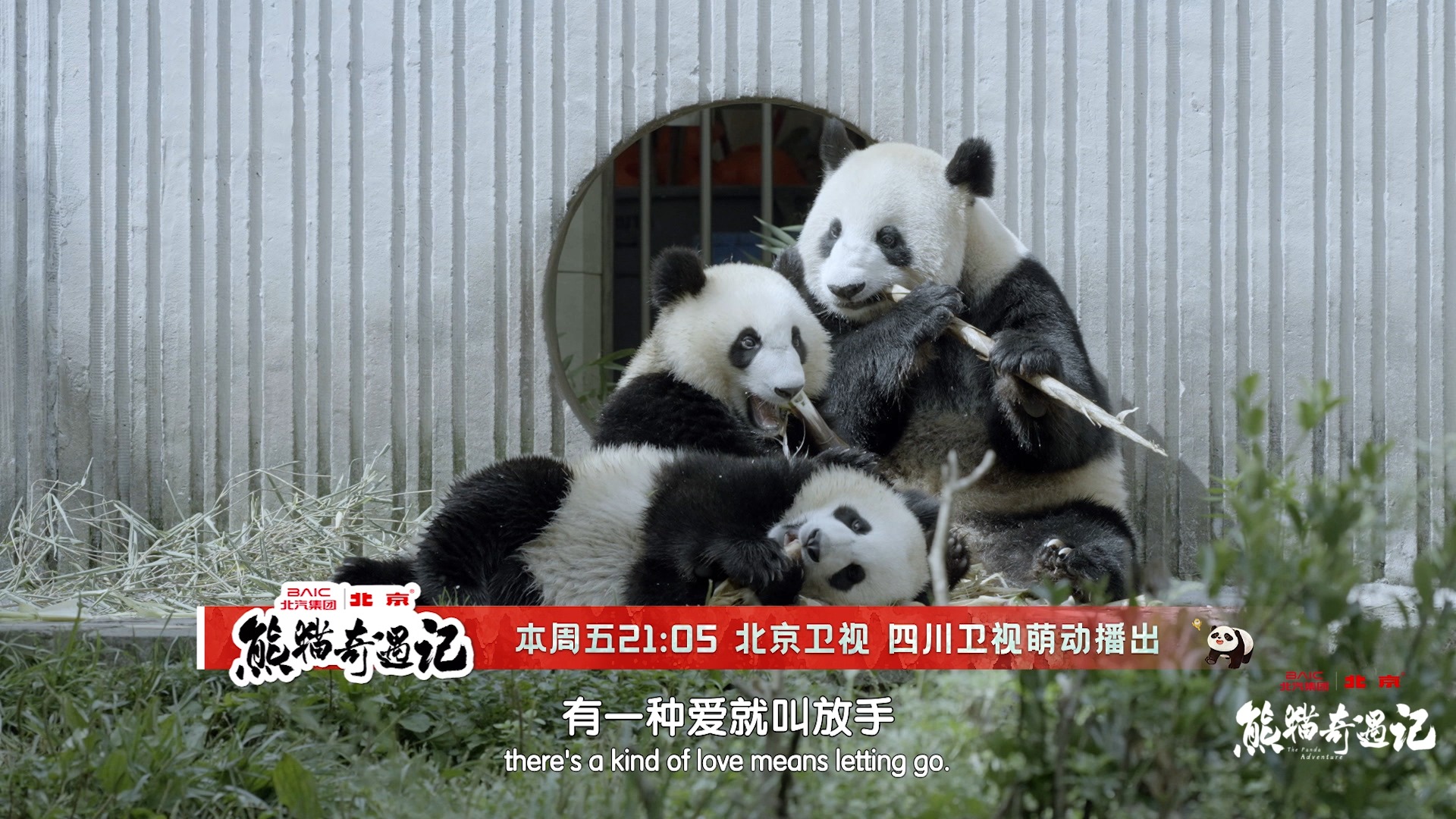 熊猫频道安卓版熊猫麻将官方版安卓版-第2张图片-太平洋在线下载