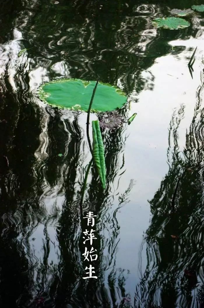 生命电视台手机版生命电视台手机app-第2张图片-太平洋在线下载