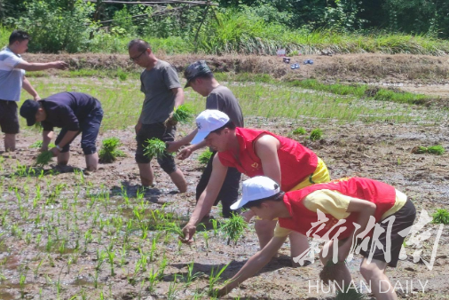 新款的客户端客户端免费下载-第2张图片-太平洋在线下载