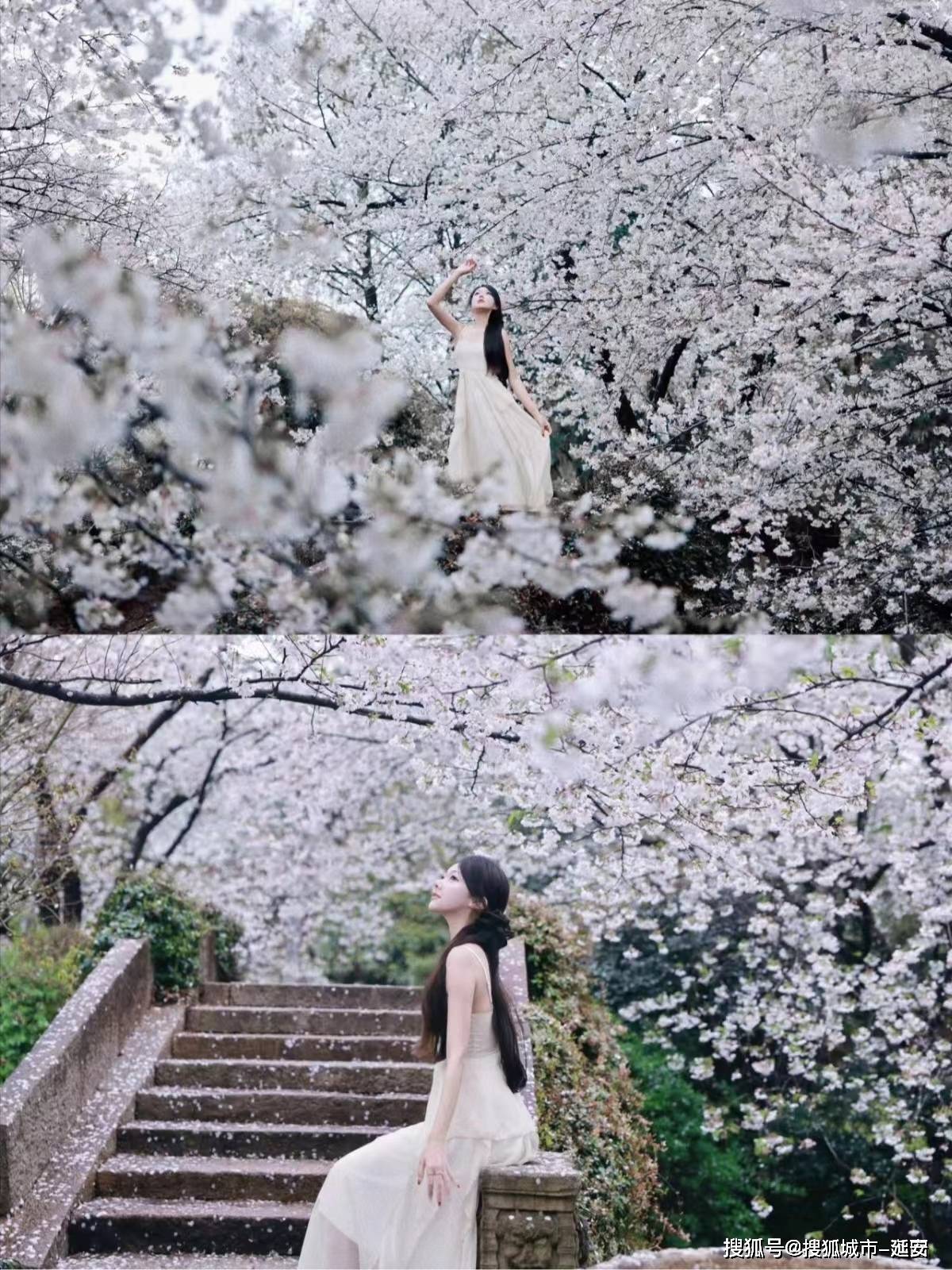 婷婷在线影院手机版无人区电影哪里可以看-第2张图片-太平洋在线下载